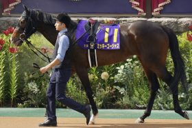 【愛知杯（G3）展望】上がり馬ミッキーゴージャスが川田将雅と重賞初制覇へ！若手“有望株”佐々木大輔＆西村淳也にも要注目
