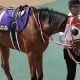【秋華賞(G1)予想】リバティアイランドには逆らわず。ただし、組み合わせる馬は「一発狙い」の穴馬で