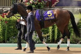 【ジャパンC】ハーツクライ産駒の「里帰り」でも話題…女王リバティアイランド参戦なら「世紀の一戦」再びも？