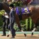 【ジャパンC】リバティアイランド参戦で「最強馬対決」に異議あり!? 池添謙一「ブチ切れ騒動」から11年…タックルが物議を醸した陣営の大誤算