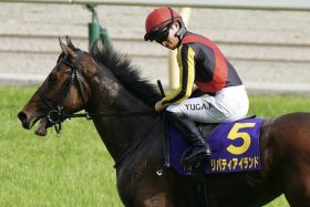 3歳牡牝でドウデュース、イクイノックス級の評価！ソールオリエンス「過大評価」疑惑も…リバティアイランドは「三冠」ほぼ当確か