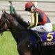 エフフォーリア妹イゾラフェリーチェがデビュー! ドゥラメンテ、キタサンブラックら“最強世代”の素質馬もスタンバイ
