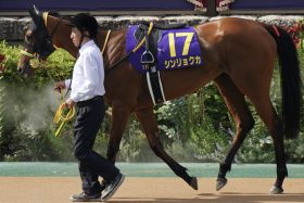 【福島牝馬S（G3）展望】今年「50戦0勝」騎手が本命馬に騎乗!? リバティアイランドに迫った実力を示せるか