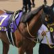 競馬で「設定6」登場にパチスロファン大喜び!?初コンビの騎手は幸運の使者か…珍名馬の「確勝級勝利」に注目集まる