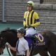 【ホープフルS】“クロワデュノールなんて目じゃない!”今年最後のG1!冬の中山で走る穴馬の法則、名門調教師絶賛の穴馬!