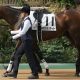 川田将雅「イチ押し」の若手騎手が信頼回復の絶好機!? 神戸新聞杯(G2)春の悔しさ胸に“勝って”クラシック初騎乗へ!