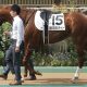 「目も開けていませんでした」M.デムーロが振り返った9年前のラストウィーク…全姉の他界からひと月後に生を受けた「新潟マイスター」の記憶