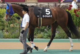 函館記念（G3）C.ルメール「裏切り続き」でもローシャムパークは問題なし!? ドウデュースの朝日杯FSに続けるか…メンバーレベルの高さを証明した注目のレースとは