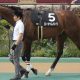 【函館記念(G3)予想】ローシャムパークは余裕の切り! 荒れるレースに相応しい「特大穴馬」を指名