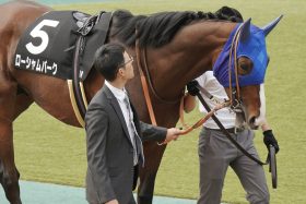 【大阪杯】C.ルメール、川田将雅より「勝てる名手」に熱視線！昨秋はタイトルホルダー撃破…「G1レベル」と評された隠し玉に戴冠のチャンス