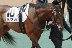 セントライト記念（G2）有力馬シャザーンを子供扱い!? 川田将雅「秋が楽しみ」から4か月…長距離王国・友道康夫厩舎の「大本命」が急浮上！