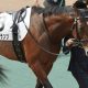 【日経新春杯】「お年玉馬券」連発の大穴男に重賞初制覇のチャンス!乗れる若手の評判に偽りなし…理屈なら楽勝してもおかしくないアノ馬に注目