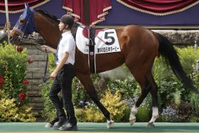 【セントライト記念（G2）展望】皐月賞馬ソールオリエンスが堂々の秋始動！ 異端のG1馬ドゥラエレーデと2度目の対決