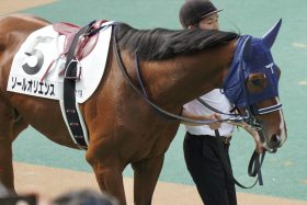 打倒ソールオリエンス「夏の上がり馬」がセントライト記念（G2）に大集結!? 逆転の下剋上へ「遅れて来た大物たち」が皐月賞馬に挑戦状