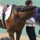 武豊「やりたい競馬はできた」に対照的な見立て? 安藤勝己氏「菊花賞向きやと思うね」の評価も…「めっちゃ嫌なコメント」と評した人物の見解