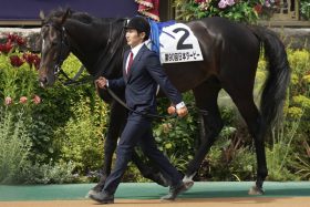 スキルヴィングの非業の死から1年…懸念される青葉賞（G2）の超高速化と歴代最速馬の悲劇