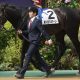 NHKマイルCに「史上最高メンバー」集結!? 2歳女王アスコリピチェーノVS2歳王者ジャンタルマンタルに加え「あの大物」参戦も…役割を終えたマル外ダービーに脚光