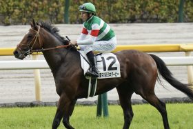 D.レーン、1年間短期免許アウトも「来年の秋OK」に違和感…2011年C.スミヨン＆D.ホワイトとは異なる運用に見られた「重大な欠点」とは