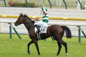 「5戦全勝」の最強助っ人、D.レーンと必勝態勢!? メイケイエール弟とキタサンブラックの素質馬がスタンバイ、宝塚記念のシュトルーヴェも期待大