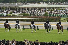 キタサンブラックがわずか2年で「稼ぎ8倍」の大躍進！その陰で「早熟＆ズッコケ」疑惑の2頭は人気急落!?