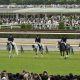 帝王賞(G1)は地方の雄とリピーターに大注目!? 地方競馬愛を炸裂させる桃井はるこの狙い目は? 【モモーイの超!大穴でグッジョブ!第3回】