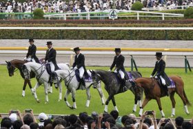 【天皇賞・秋】11年ぶりの天覧競馬決定。日本中が震えたヘヴンリーロマンス、エイシンフラッシュの感動を振り返る