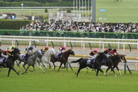 【京王杯スプリングC】見逃せないのは○番人気!?　JRA実力派中堅騎手がお気に入りの1頭も激走の予感？【週末重賞ピックアップ】