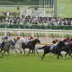関東名門がアーモンドアイ初仔と目指す「最後」の日本ダービー! 今夏C.ルメールとデビュー予定、3年前の「超大物」が逃した舞台へ