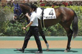 武豊「動くこともできませんでした」悔い残る連敗も収穫あり！秋華賞で「74連敗」克服にボンドガール陣営は手応え