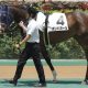 「穴太郎」こと野中悠太郎が1300万馬券の大仕事! 単勝117.5倍の快勝劇は中山歴代4位の大波乱
