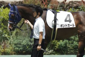 カンティアーモ回避もボンドガール「全幅信頼」に危うさ？絶好調の武豊に立ちはだかる血の宿命