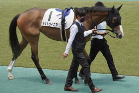 C.ルメール「青写真の崩壊」危機に心中複雑!? 牡馬クラシック挑戦レガレイラ「最大の強敵」は自らが「G1でもいける」と評する同門の大物牝馬か