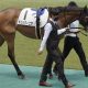 岩田望来、V宣言から一転「僕の責任。また乗せていただけるなら」マスクトディーヴァ主戦降板の大ピンチ…安藤勝己氏からエールも単勝1.9倍敗戦に遠のくG1初制覇