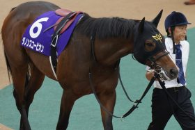 【阪神C（G2）】昨年の“復活劇”と同じジョッキー・勝負服も…復活を期すG1馬3頭、最有力はあの馬？