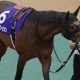 横山典弘の「逆ポツン」と川田将雅の「暴走」…“無謀承知”のハイペース逃げで分かれた明暗