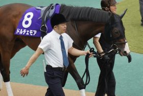 【京都金杯（G3）】唯一のG1馬が屈辱の軽ハンデ!? 「気持ちが前向きになるように」このままでは終われない2歳王者が復活のシーズンに