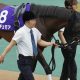 「完全に騎手のミス」「勝ちまであった」矢作師が愛弟子にブチ切れ? 超新星の動向が新ダート三冠路線のカギ? 三冠牝馬リバティアイランド&菊花賞馬ドゥレッツァ! 新王者ドゥラメンテが最有力も…【週末GJ人気記事ぶった斬り!】