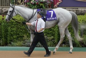 【フェブラリーS予想】各陣営の「思惑と駆け引き」が勝敗分ける？人気のウィルソンテソーロに落とし穴…「頼れる助っ人」が万馬券のトリガー