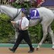 【天皇賞・秋】イクイノックスに立ちはだかる「天覧競馬」のジンクスと「勝ち馬」の共通点