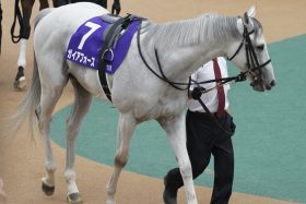 【チャレンジC（G3）展望】「有馬記念見据え」ベラジオオペラVS「天皇賞・秋5着」ガイアフォース！ ディアドラ半弟は川田将雅と再タッグ