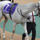 安田記念で痛恨ミス? 「どん詰まり」に賛否分かれた直線の攻防…安藤勝己氏「先着された馬達が強かったってだけ」
