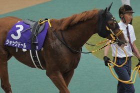 「サウジC登録」ジャックドールに屈腱炎判明…今後は「オーナーと相談して決めたい」、もう一度競馬場で逃げる姿を見られるか