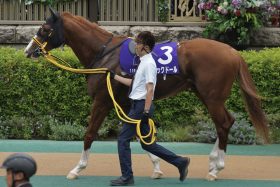 元JRA安藤勝己氏「あの逃げは勿体ない」ジャックドール藤岡佑介に苦言…消極的騎乗で「降板」した昨年から一転、積極果敢にハナを奪うも賛否両論