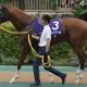 武豊命名「5爺」に激震走るナンバー3の卒業…有馬記念でメジロマックイーンを撃破、迫られる「欠員補充」の最有力候補とは