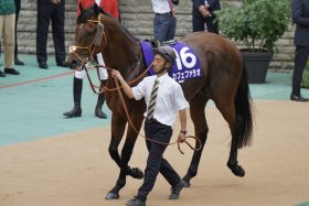 「二刀流」目指したカフェファラオが種牡馬入り。なぜダート王者は芝重賞に挑戦し続けたのか？