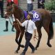 ネクラ女医の競馬日記No.3〜ウインズでバイトしてた頃の話〜