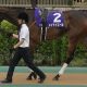 高松宮記念「雨予報」で5年連続“道悪”開催が濃厚! 馬場悪化で浮上する「香港の刺客」……そのワケとは