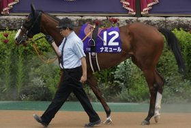 【ヴィクトリアマイル】阪神牝馬S勝利のマスクトディーヴァは安定の消し！ナミュールで武豊騎手の4500勝メモリアルに現実味