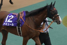 武豊「16戦1勝」でもノットゥルノで存在感！ボンドガールは不完全燃焼も…藤岡康太のバトン引き継ぐナミュールとリベンジへ