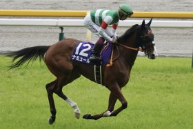 【ヴィクトリアマイル（G1）展望】武豊×キャロットFがナミュールで「17度目の正直」狙う！ J.モレイラ×マスクトディーヴァとの一騎打ちか